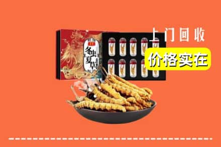 沿河县回收冬虫夏草